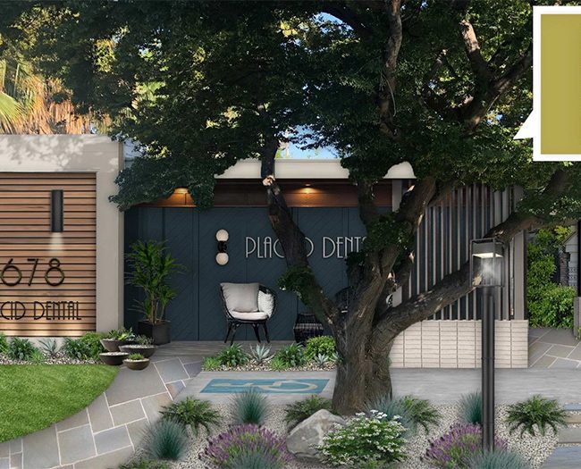 divorce small business ownership florida