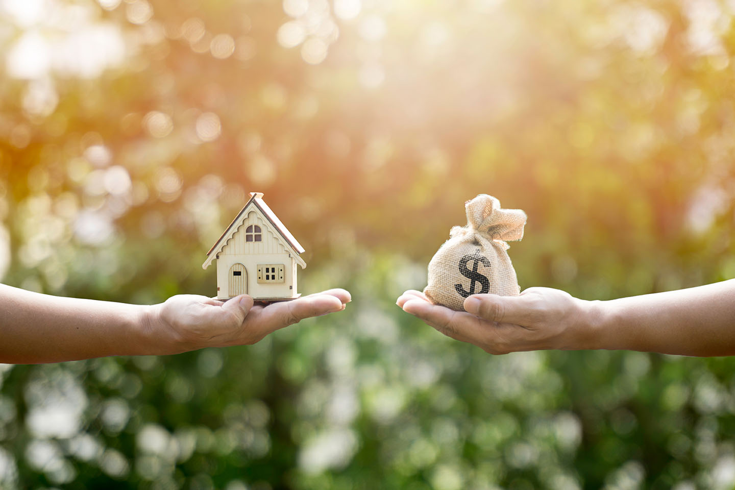 dividing retirement accounts florida divorce