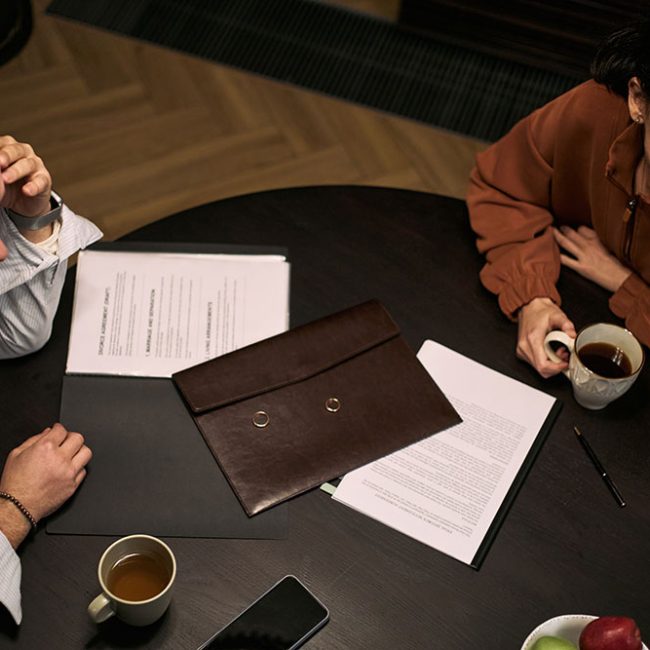 preparing first family law consultation florida