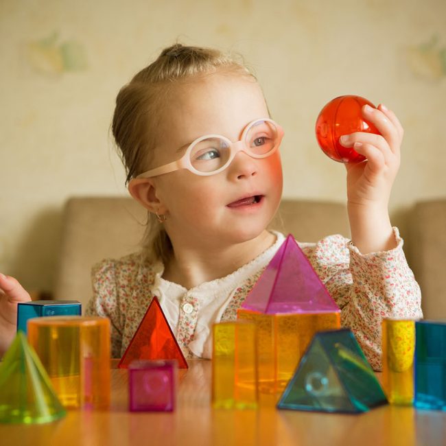 special needs custody parenting plans florida